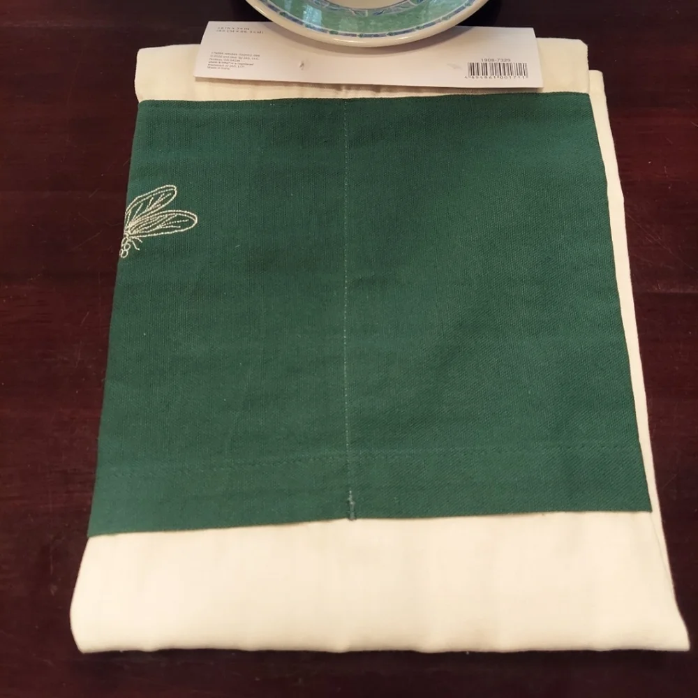 Place & Time bnwt dragonfly